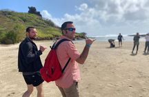 Oahu Circle Island Tour Relaxed Explorer Edition+ Byodo-In Temple