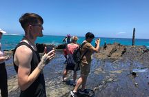 Oahu Circle Island Tour Relaxed Explorer Edition+ Byodo-In Temple