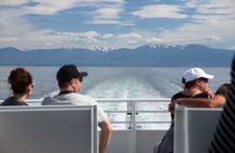 Winter Victoria Whale and Wildlife Covered Vessel Tour