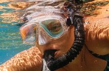 Cozumel: Private Snorkel Experience at Skyreef Beach Club
