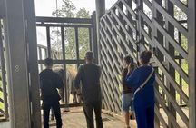 Yok Don Elephant Sanctuary, Rescue Center and Don Village