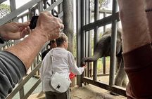 Yok Don Elephant Sanctuary, Rescue Center and Don Village
