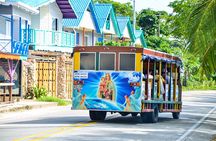 Two Day Aquarium Johnny Cay Boat Party and Island Trip