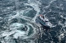 Private Tokushima Shore Excursion : Temples and Scenic Views