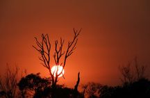 4 Day Kruger National Park Shared Wildlife Adventure