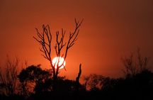 3 Days Kruger Park Safari Adventure