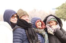 Chartered Private Tour - Tokyo to Nikko, Toshogu, Edo Wonderland 