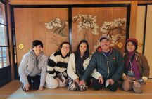 Tokyo VIP Guided Private Car Tour with Optional Airport Transfer