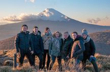 Private Car Tour to Mt. Fuji and Kawaguchiko or Hakone