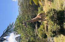 4 Days on Mt. Meru and Arusha National Park