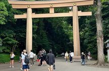 Tokyo Private Sightseeing Tour from Yokohama with Airport Dropoff