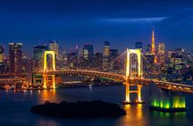 Tokyo Private Sightseeing Tour from Yokohama with Airport Dropoff