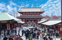 Tokyo Private Sightseeing Tour from Yokohama with Airport Dropoff