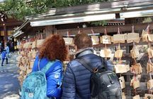 Tokyo Private Sightseeing Tour from Yokohama with Airport Dropoff