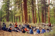 Explore Tahoe Forest Through the Eyes of a Certified Arborist