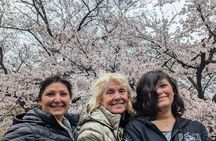 Private Car Tour to Mt. Fuji and Kawaguchiko or Hakone