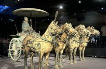  Xi`an Terracotta Army Option city Tour ( Goose tower City wall)