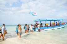 Glass Bottom Boat Tour