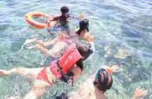 Glass Bottom Boat Tour