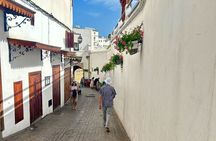 Tangier Private Half Day Experience City Tour and Camel Ride