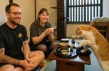 Private Tea Ceremony at Kyoto Cat Sanctuary – Ethical Retreat