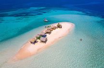 Paradise Island Cayo Arena Tour Snorkeling, Mangroves, Local Food