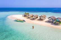 Paradise Island Cayo Arena Tour Snorkeling, Mangroves, Local Food