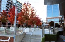 The 3 Hour Upstate Relocation and More Driving Tour