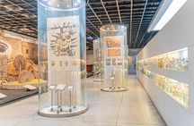 Tequila & Mezcal Exclusive Tour