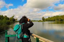 Bird watching in Bogota wetlands with Bakata Bird