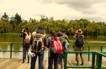 Bird watching in Bogota wetlands with Bakata Bird