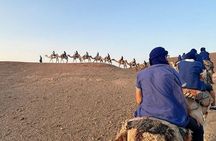 1h Quad + 1h Camel Ride + Dinner Show (Transport Included)