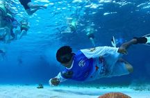 Catamaran with Slide in Cozumel Reef Snorkeling Experience