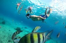 Transparent Boat with Snorkeling drinks and photo shoot