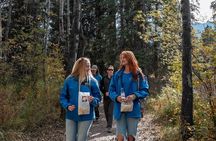 Walking tour Food Experience in Banff