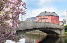 Kilkenny Private Walking Tour with a Local