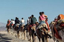 Desert Agafay full package: Quad bike + camel trek + dinner show