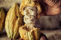 Tour of indigenous trails, coffee, cocoa, waterfalls - Minca