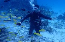 [Half day] Charter diving experience at Ishigaki Island - Novices welcome!!～