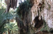 Cultural and Adventure Tours in Mauritania