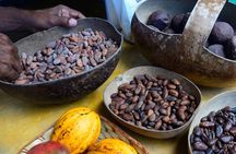 Domitai Park Hacienda Tuko 9 Attractions with Lunch in Punta Cana