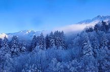 Adventure Cable Car Tour to Shinhotaka Ropeway