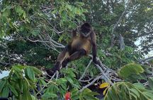 Discover Managua and Masaya and GranadaFull Day Private Tour