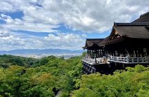 Kyoto tour: 3 Photogenic Sites from Nagoya with Lunch