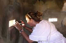 Hai Van Pass Adventure - Private Car Tour From Hoi An & Da Nang