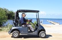 Roatan Sloth Sanctuary, Golf Cart Adventure, Beach Lunch & Drinks