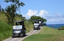 Roatan Sloth Sanctuary, Golf Cart Adventure, Beach Lunch & Drinks