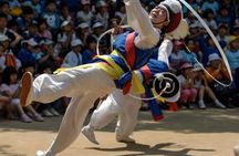 Seoul Gyeongbokgung and N Seoul Tower Full Day Guided Tour