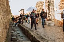 Pompeii Excursion From Sorrento