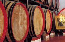 Reinforced Typical Food and Wine Tasting
